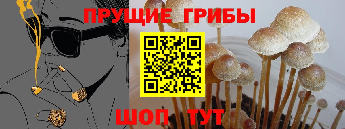 Псилоцибиновые грибы MAGIC MUSHROOMS Ишимбай