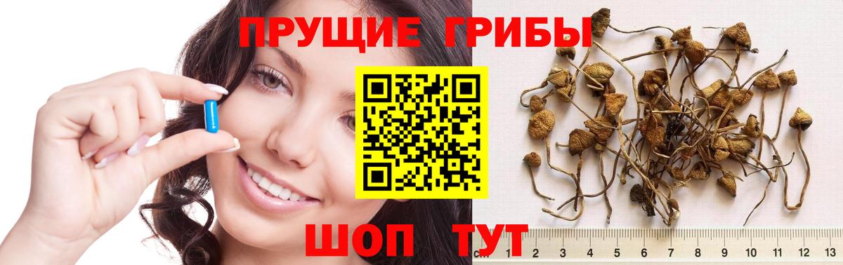 Псилоцибиновые грибы прущие грибы  продажа наркотиков  Ишимбай  Вход с VPN 